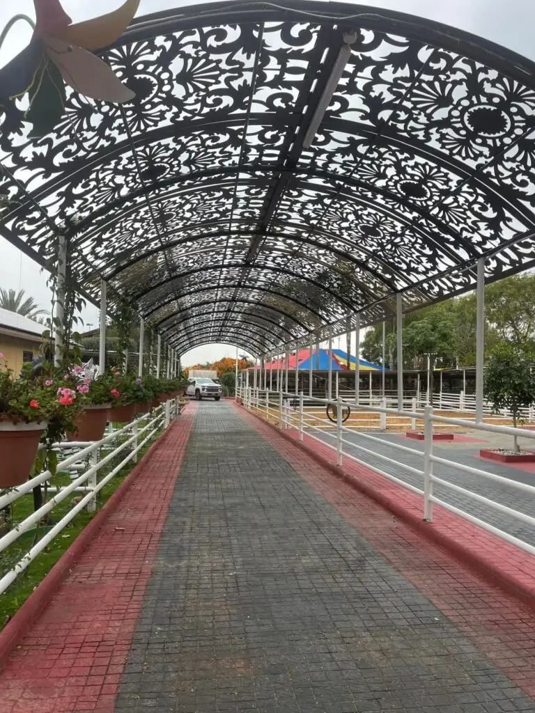 פרגולה מקושתת דקורטיבית מעל שביל